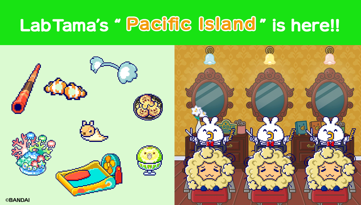 PACIFIC ISLAND is coming to Lab Tama
